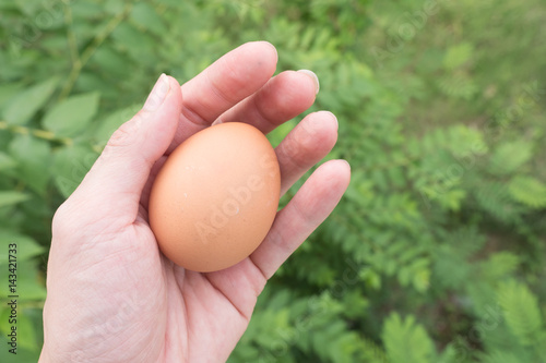 The chicken egg in the hand. Easter time, Happy time. Jesus rise again