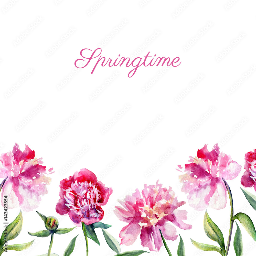Watercolor pink peony, garden flower isolated on white background, botanical hand drawn illustration, frame for design package cosmetic, greeting card, wedding invitation, florist shop, printing Watercolor pink peony, garden flower isolated on white background, botanical hand drawn illustration, frame for design package cosmetic, greeting card, wedding invitation, florist shop, printing