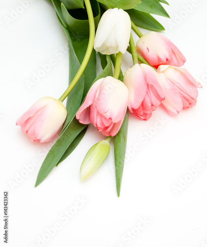 Fototapeta Naklejka Na Ścianę i Meble -  Bouquet of spring tulips on a white background.