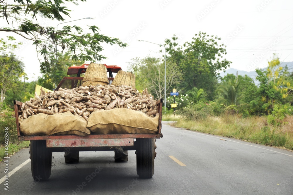 A truck carrying manioc to factory in countryside of Thailand