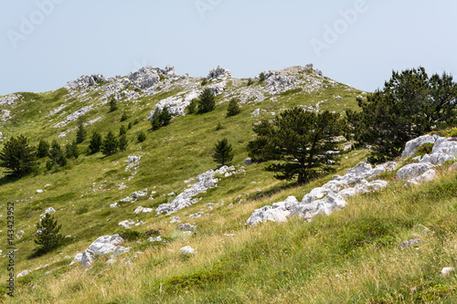 Peaceful alpine meadow with wide mountain trees in highland area of Biokovo national park in Croatia photo