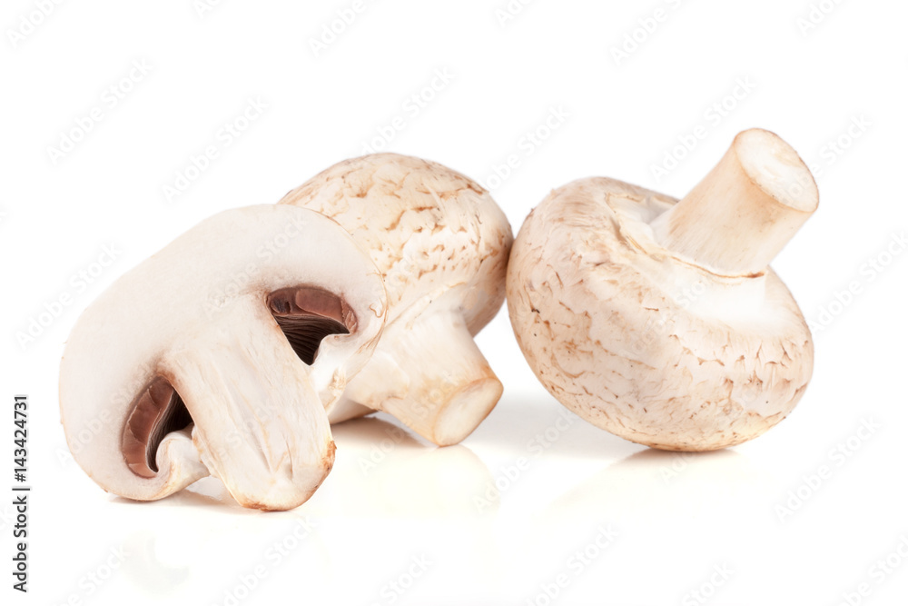 Fresh champignon mushrooms isolated on white background Fresh champignon mushrooms isolated on white background