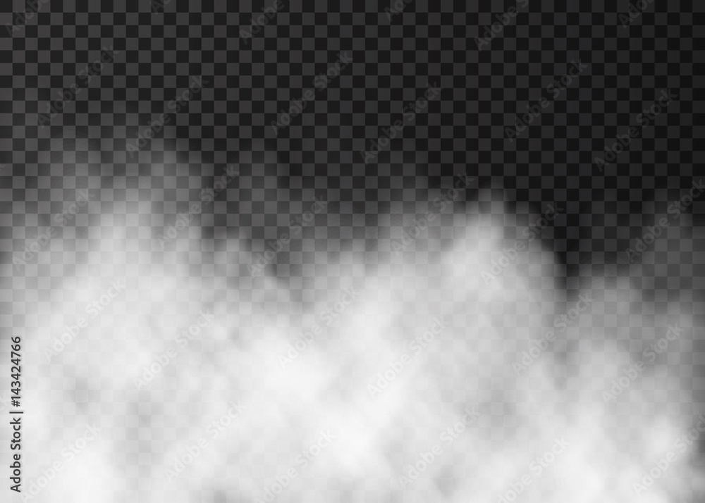White fog or smoke  isolated on dark transparent background. - obrazy, fototapety, plakaty 