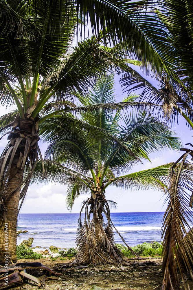 Fototapeta premium Beach Life