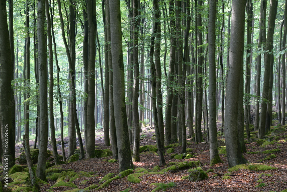 Ebersberger Felsenmeer Ebersberger Felsenmeer