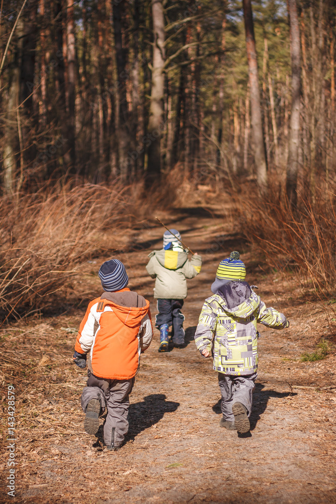 Group of three little kids running in the forest. Early spring pine forest hike in waldorf kindergarten.