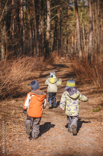 Group of three little kids running in the forest. Early spring pine forest hike in waldorf kindergarten.