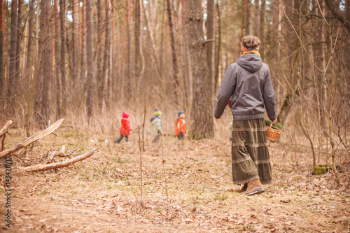 Group of four little kids with a kindergartener walking in the forest. Early spring pine forest hike in waldorf kindergarten.