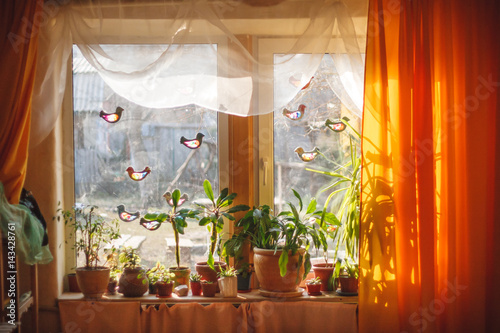 Sunlight from outside window streams into a room thick yellow curtains and white tulle. Plants and trees on a windowsill and spring DIY colorful paper birds on a window in waldorf kindergarten