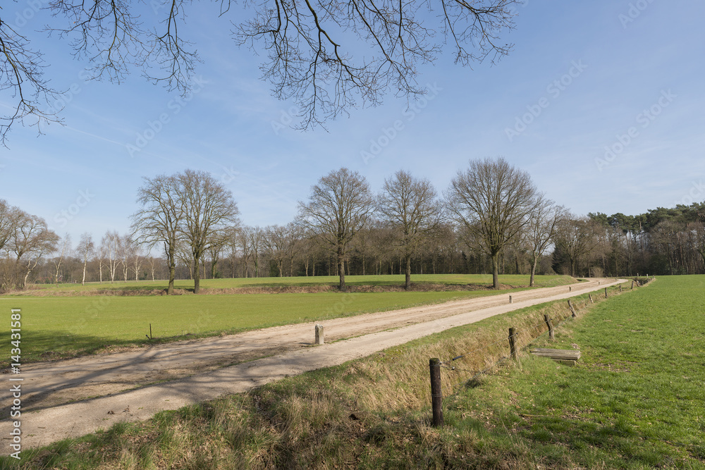 Characteristic half-open farmlands in the Netherlands. Characteristic half-open farmlands in the Netherlands.