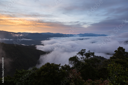 Cloudscape in Chapare, Bolivia