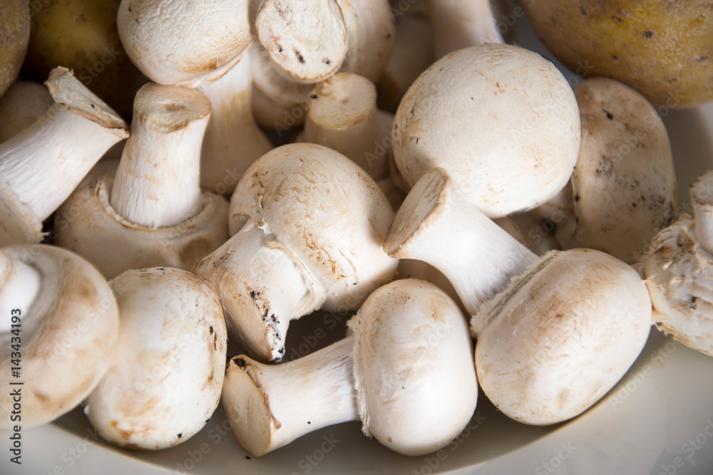 Champignons Champignons