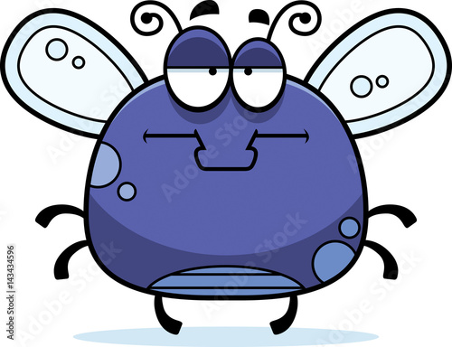 Bored Little Fly