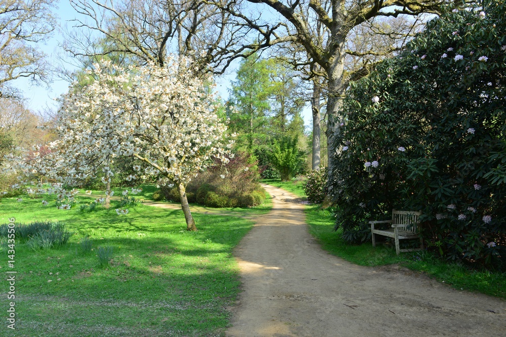 The gardens of an English country estate in Springtime.
The gardens of an English country estate in Springtime.