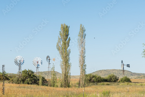 Four water pumping windmills photo