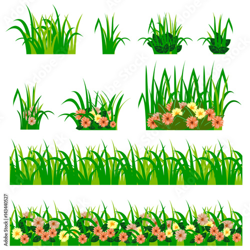 Set of garden flowers in grass isolated on white background