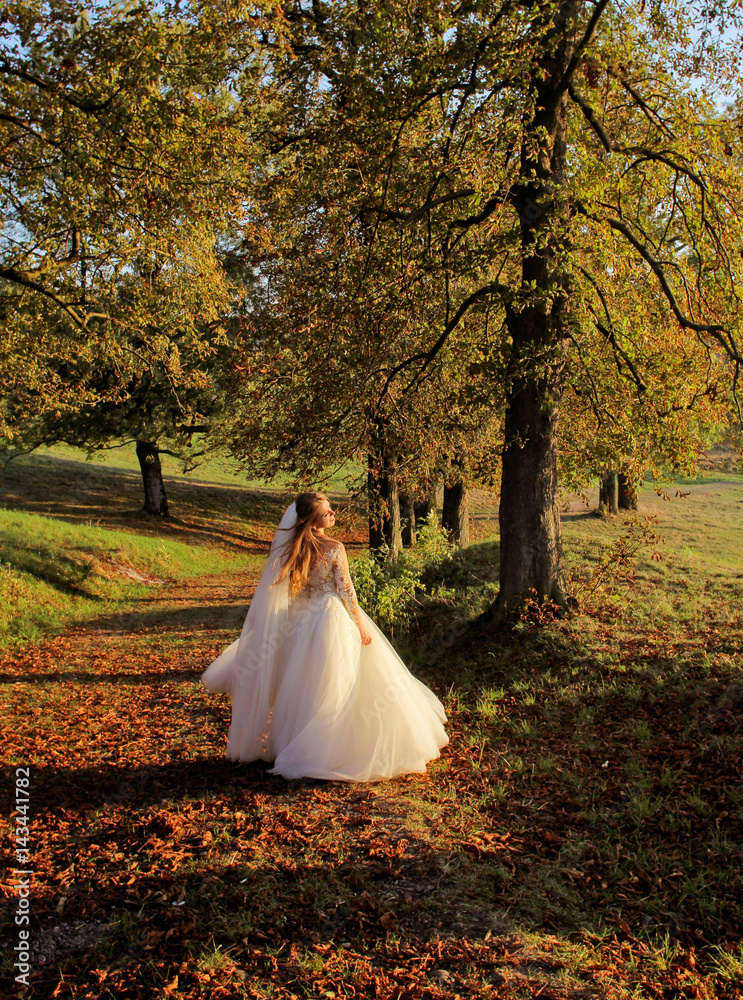 Bride dance at the sunset in autumn. Beauty sunlight, orange leaves and trees in happy wedding day Bride dance at the sunset in autumn. Beauty sunlight, orange leaves and trees in happy wedding day
