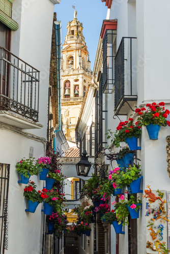 Calleja de las Flores in Cordoba, Spain photo