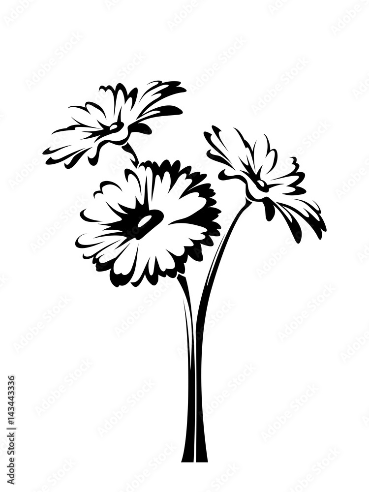 Three vector gerbera flowers with stems isolated on a white background.