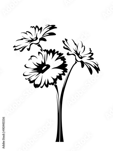 Three vector gerbera flowers with stems isolated on a white background.