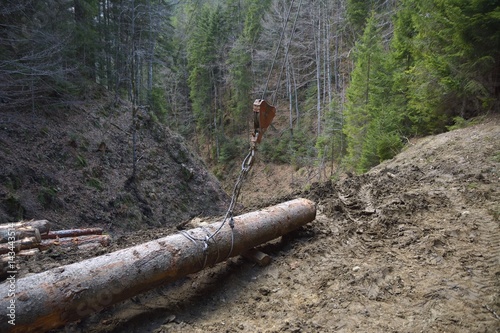 Timber transport by cable car in the woods