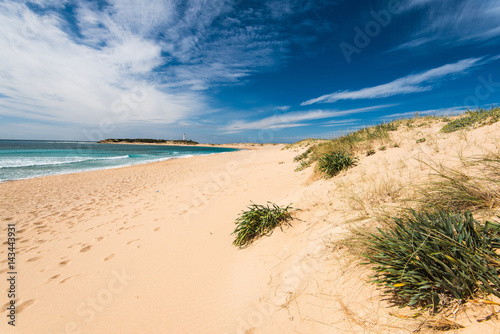 Fototapeta Naklejka Na Ścianę i Meble -  Zahara de los Atunes sandy beach and dunes,Spain