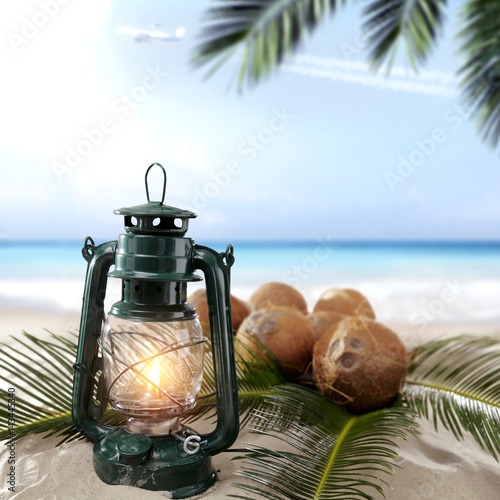 coconuts on beach 