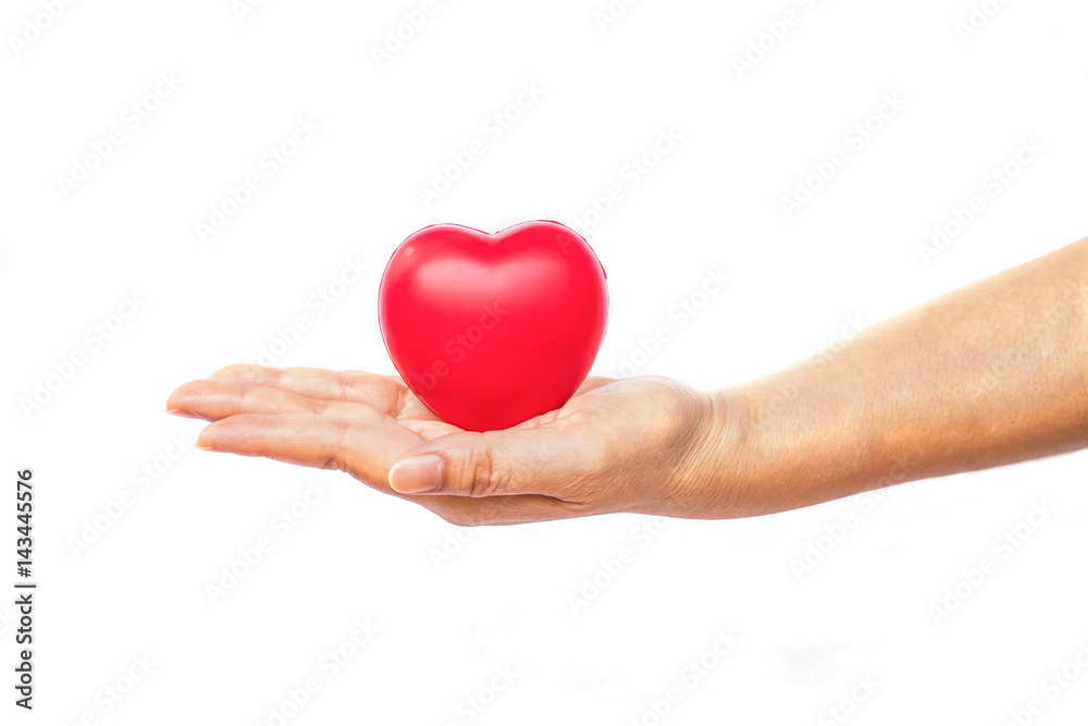 hand holding a red heart on white background hand holding a red heart on white background
