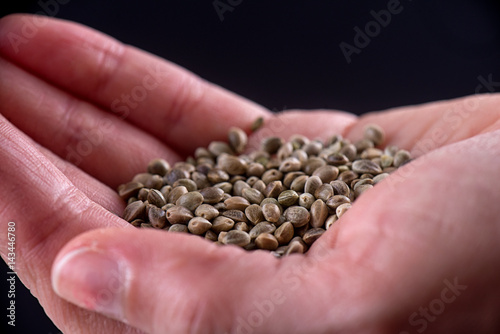 Hand holding marijuana seeds isolated over black - cannabis growing concept