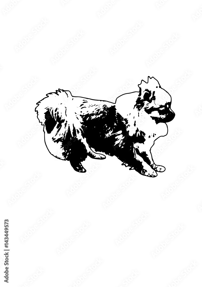 Obraz premium Silhouette dog playing vector
