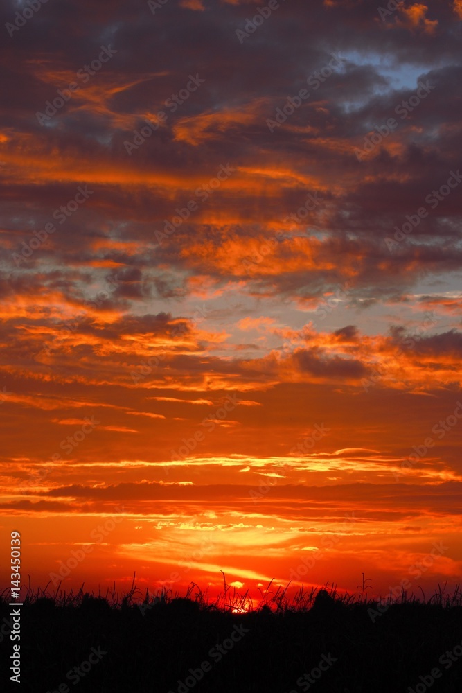 Hot summer orange sunset on the farm