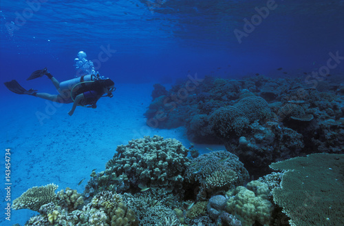 Diver enjoying pristine coral reefs of Apo Island, Philippines