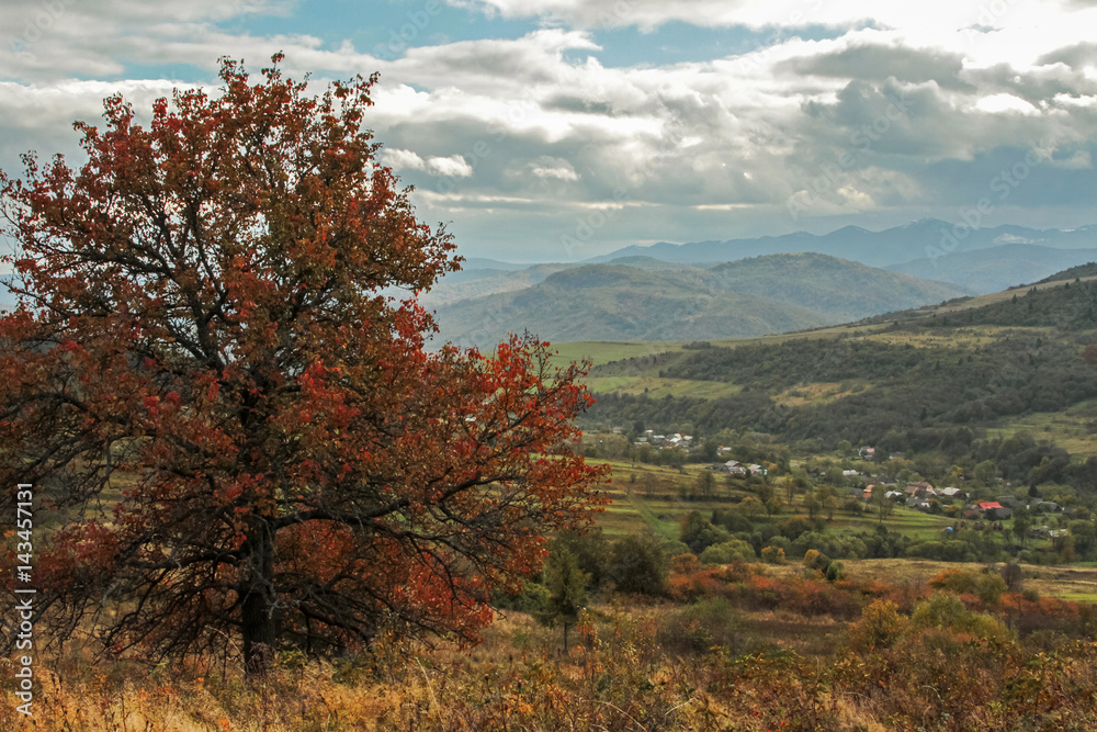 Golden Autumn in the mountains Golden Autumn in the mountains