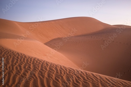 Desert Dunes in Sahara after Sunset