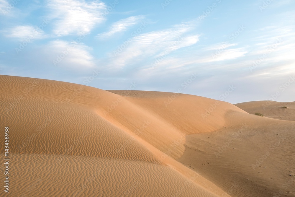 Desert Dunes in the Evening
