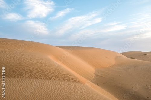 Desert Dunes in the Evening
