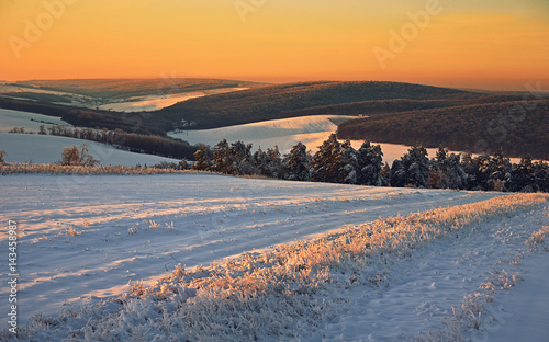 Winter landscape at sunset © niromaks