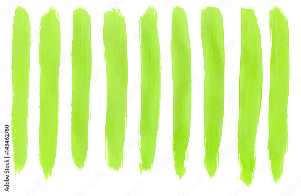 Artistic Green paint hand made tracing from sketch Vector Illustration
