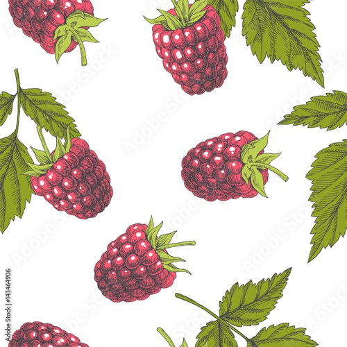 Raspberry. Vintage hand drawn illustration with berries and leaves. Vector seamless pattern