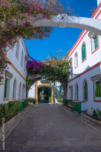 Beautiful creeper flower on white huts in Puerto de Mogan, Gran Canaria © Anna Kwiatkowska