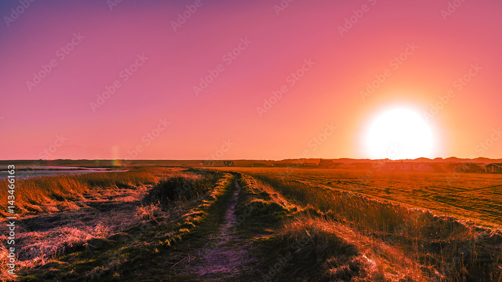 Naklejka premium Sonnenuntergand in Vejlby Klit, Dänemark