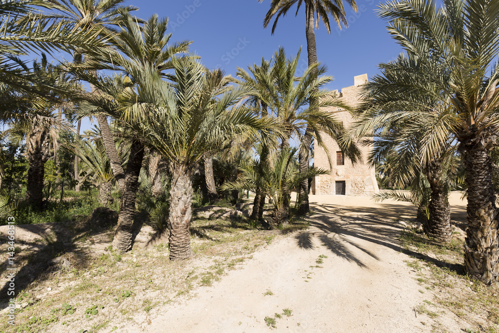 Tower of Vaillo in the city of Elche.