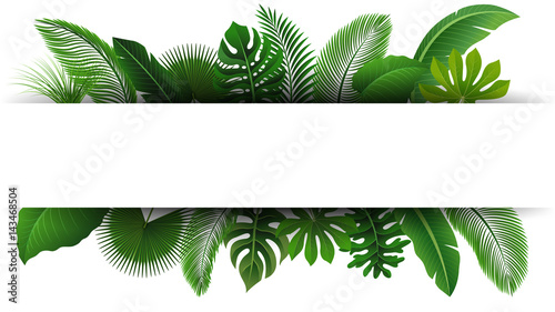 Fototapeta Naklejka Na Ścianę i Meble -  Sign with text space of Tropical Leaves. Suitable for nature concept, vacation, and summer holiday. Vector Illustration