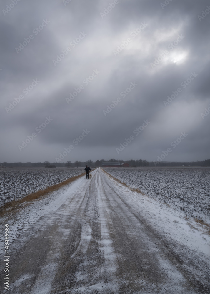 Fototapeta premium The Walk