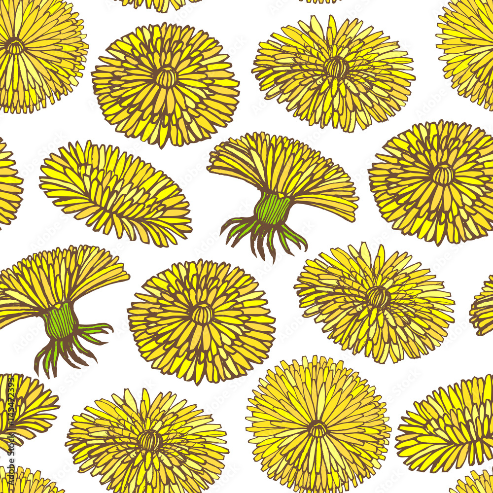 Obraz premium vector hand drawn dandelion background