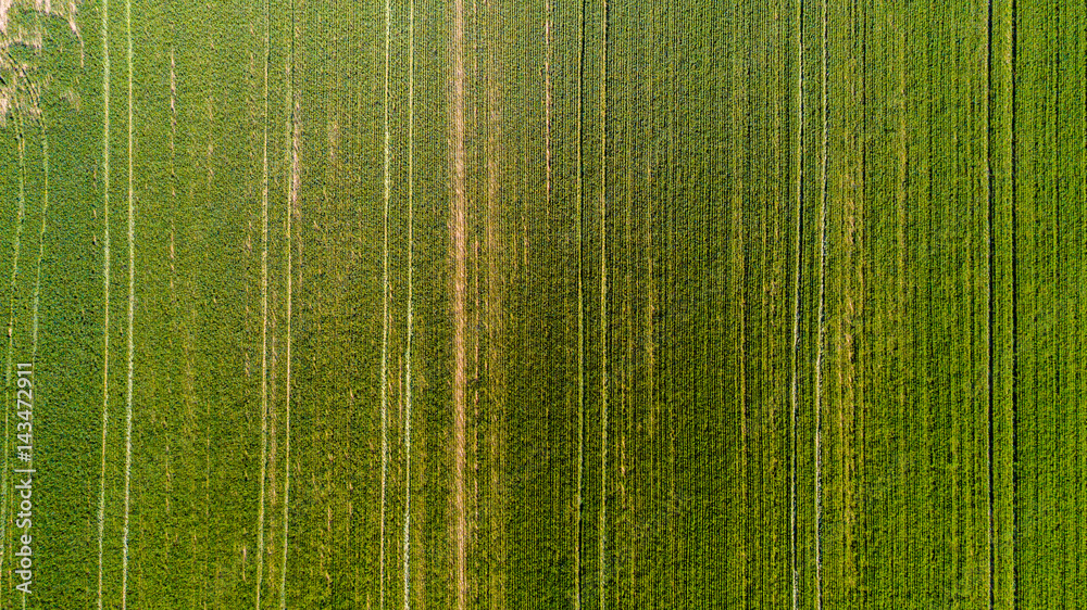 Natura e paesaggio: vista aerea di un campo, campo arato, coltivazione, prato verde, campagna, agricoltura Natura e paesaggio: vista aerea di un campo, campo arato, coltivazione, prato verde, campagna, agricoltura