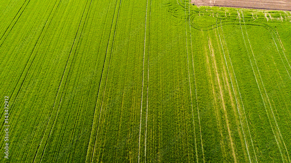 Natura e paesaggio: vista aerea di un campo, campo arato, coltivazione ...