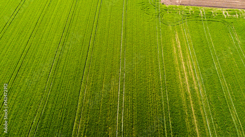 Natura e paesaggio: vista aerea di un campo, campo arato, coltivazione, prato verde, campagna, agricoltura