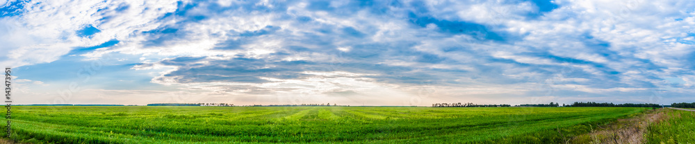 A panoramic field view A panoramic field view
