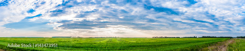 A panoramic field view